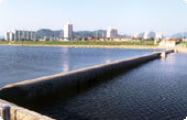 السد المطاطي لمشروع الطاقة الكهرمائية الرخيص للبيع بالجملة للتحكم في المياه